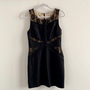 Black Lace Cut Out Fitted Dress